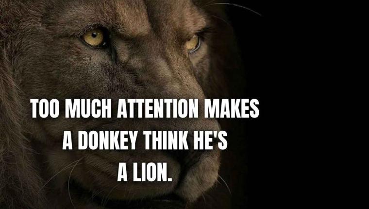 Too Much Attention Makes a Donkey Think He’s a Lion: The Danger of Hollow Validation